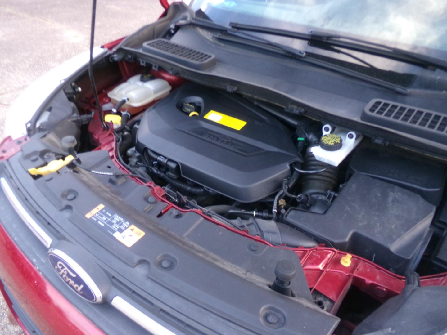 2016 Ruby Red Metallic /Gray Ford Escape SE (1FMCU0GX9GU) with an 1.6L Ecoboost engine, automatic transmission, located at 401 First NE, Bearden, AR, 71720, (870) 687-3414, 33.726528, -92.611519 - Photo#6