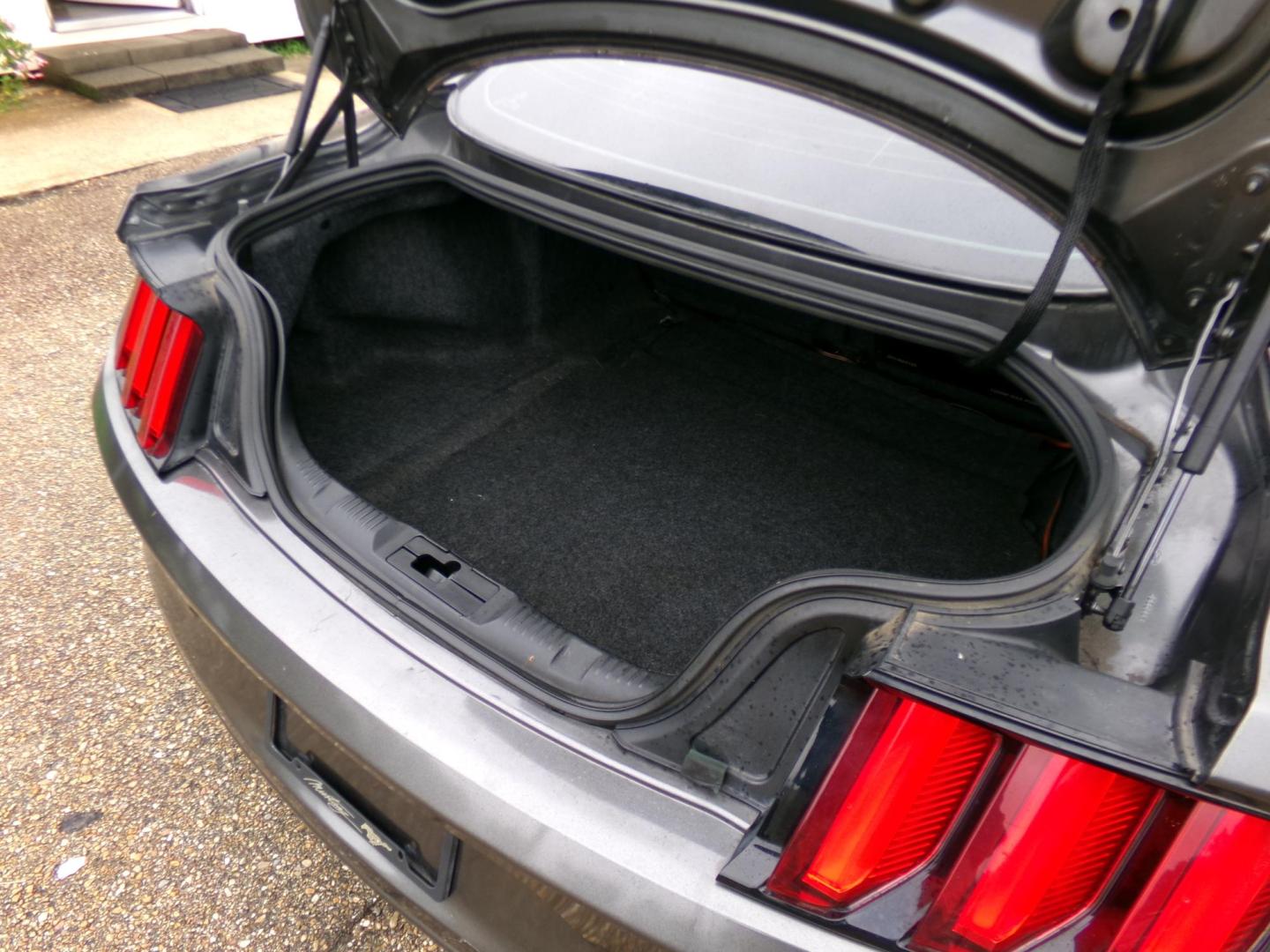 2017 Magnetic Metallic /Charcoal Ford Mustang EcoBoost Coupe (1FA6P8TH9H5) with an 2.3L L4 DOHC 16V engine, Automatic transmission, located at 401 First NE, Bearden, AR, 71720, (870) 687-3414, 33.726528, -92.611519 - Photo#4