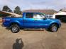 2014 Blue Flame Metallic /Gray Ford F-150 XLT SuperCrew 5.5-ft. Bed 4WD (1FTFW1ET5EK) with an 3.5L V6 TURBO engine, 6-Speed Automatic transmission, located at 401 First NE, Bearden, AR, 71720, (870) 687-3414, 33.726528, -92.611519 - Photo#24